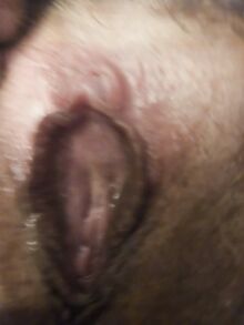 Lutkamainen nainen antaa lähikuvan karvaisesta pillustaan