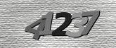 Captcha attēls