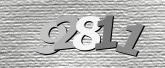 Captcha attēls