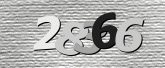 Captcha attēls