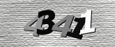 Captcha-bilde
