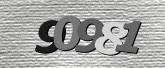 Captcha-bilde