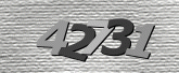 Captcha-bilde