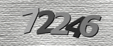 Captcha-bilde