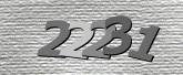 Captcha-bilde