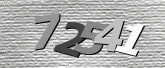 Captcha-bilde