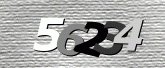Captcha-bilde