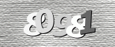 Captcha bild